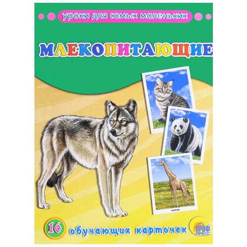 фото Набор карточек проф-пресс обучающие карточки. уроки для самых маленьких. млекопитающие 22x17 см 16 шт.