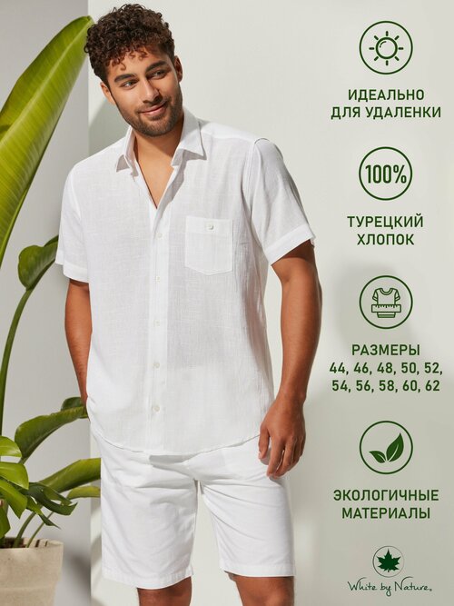 Рубашка мужская белая White by Nature с коротким рукавом