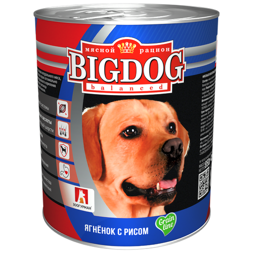 Влажный корм для собак Зоогурман Big Dog Big Dog, при чувствительном пищеварении, ягненок, с рисом 1 уп. х 10 шт. х 850 г (для средних и крупных пород) корм для собак зоогурман big dog телятина с сердцем банка 850г
