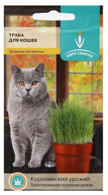 Лакомство для кошек Евро-Семена Трава для кошек 2413226