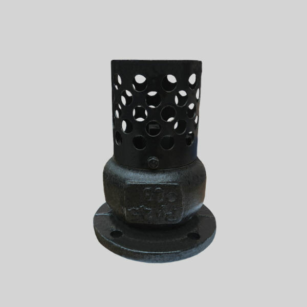 фото Клапан обратный приёмный чугунный 16ч42р Ду50