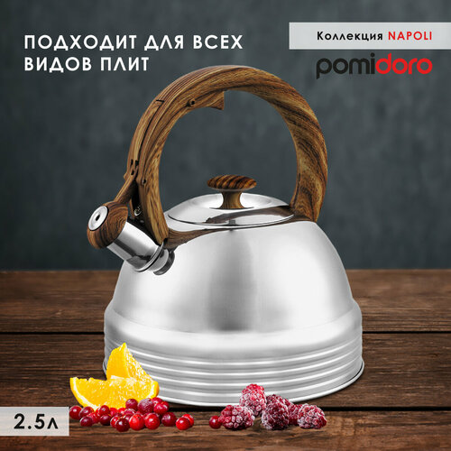Чайник Pomi Doro Napoli со свистком и термоизолированной ручкой, 2,5 литра
