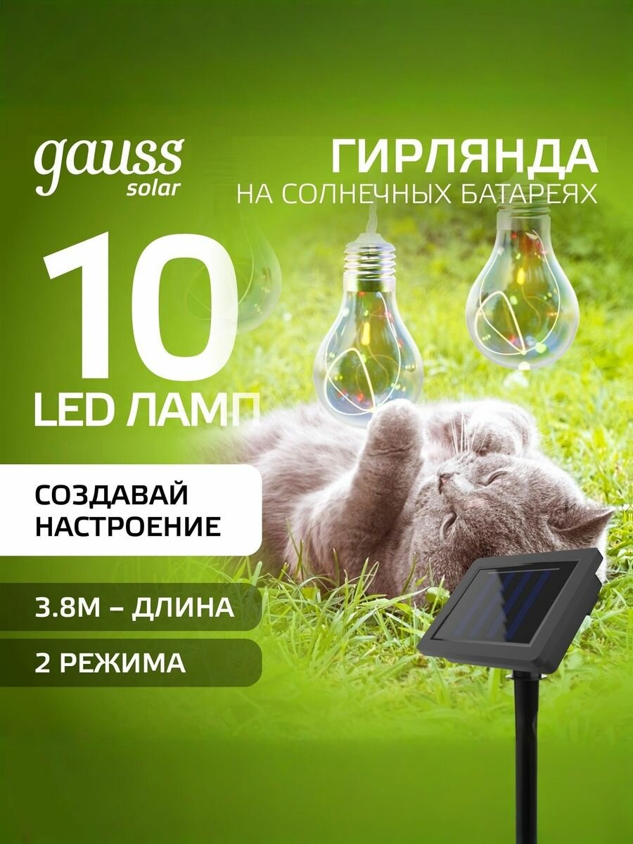 Гирлянда садовая на солнечной батарее 10 LED ламп Большие Шары Мультицвет Gauss Solar