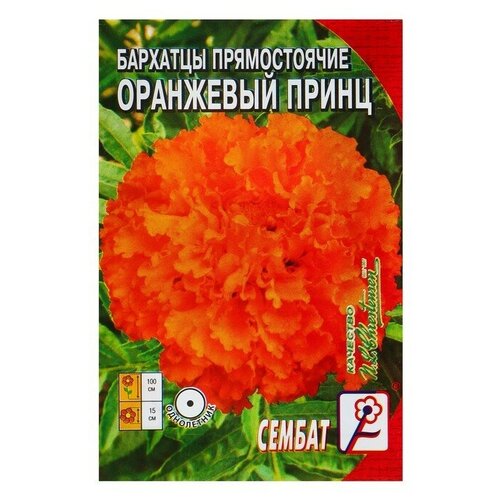 Семена цветов Бархатцы Сембат, прямостоячие Оранжевый принц, однолетник, 0,1 г