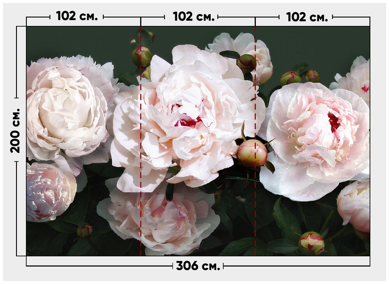Фотообои / флизелиновые обои Розовые пионы на темно-зеленом 3,06 x 2 м