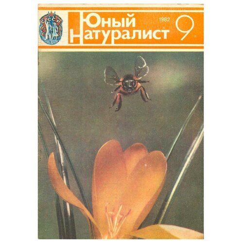 Журнал "Юный натуралист". Выпуск 9 /1982 год