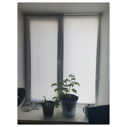 фото Рулонная штора на окно мини эко (белый, 90 х 235 см) мастер плюс