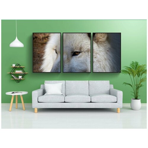 фото Набор модулных постеров для интерьера "волк, дикое животное, хищник" 60x90 см. в тубусе, без рамки lotsprints