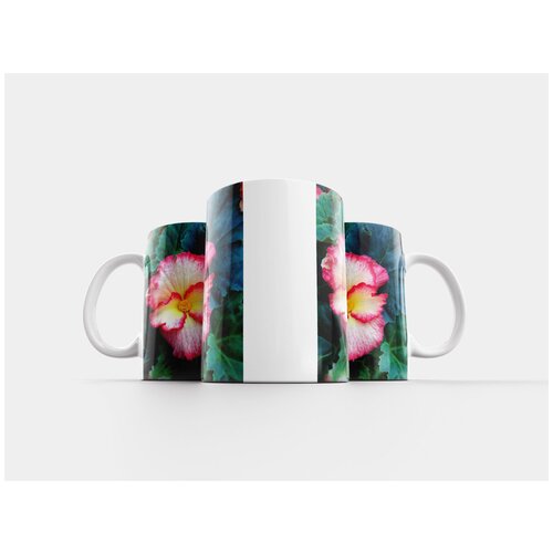 фото Кружка "ящерица, пустыня, песчаник" 320 мл lotsprints