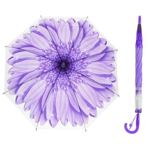 Зонт полуавтомат, фиолетовый
