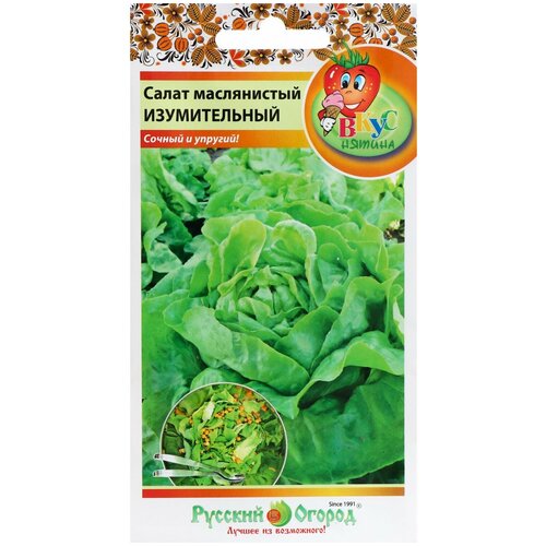 Семена Салат кочанный Изумительный, Вкуснятина, 200 шт салат кочанный русский огород изумительный 200 шт