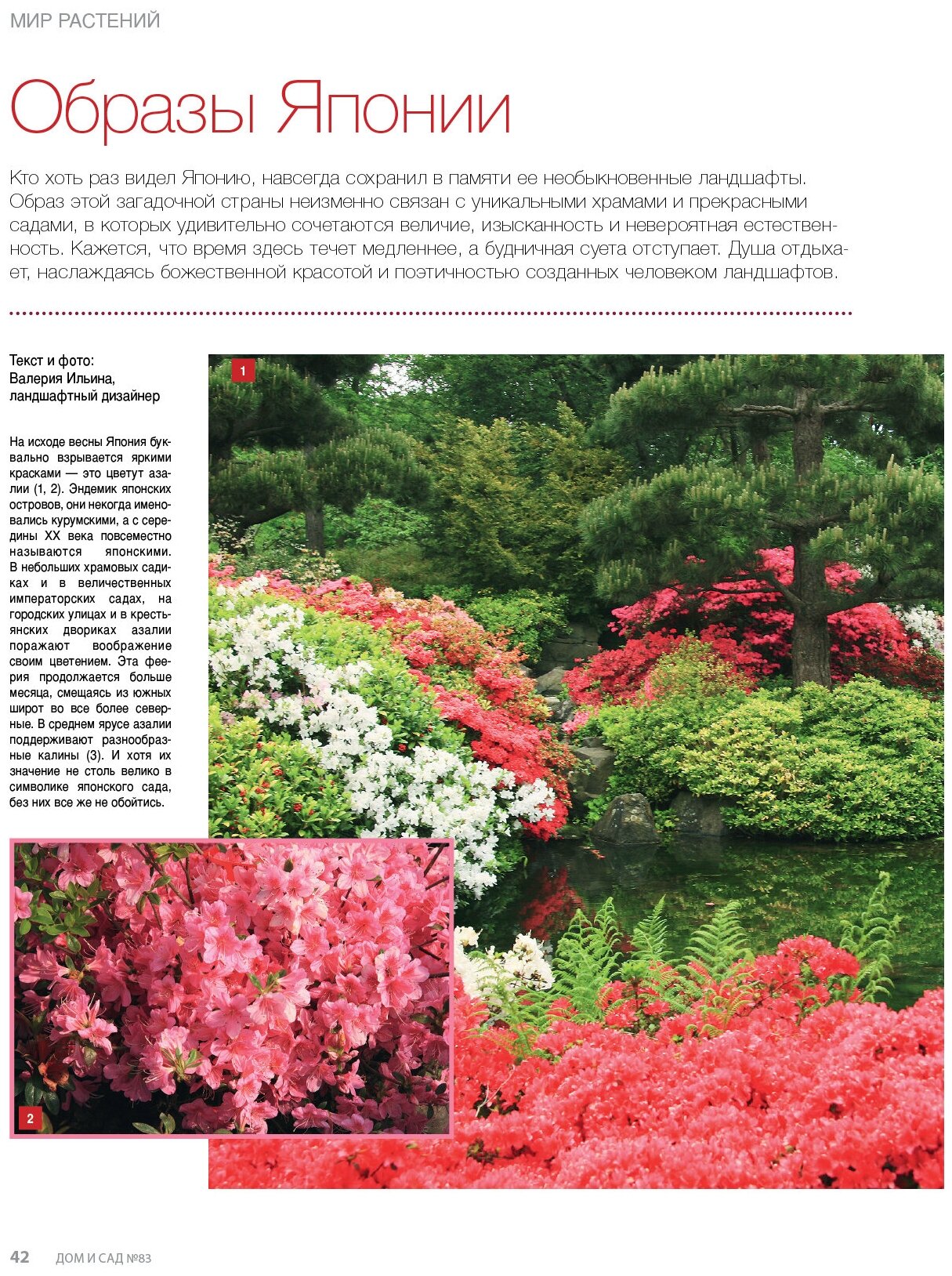 Журнал Дом и сад №2 (83) 2015