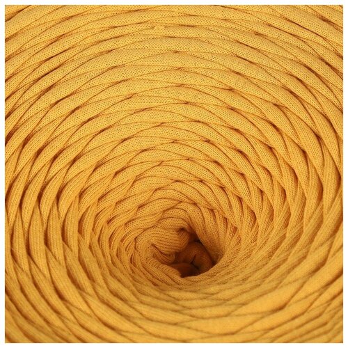 Елена и Ко Пряжа трикотажная лицевая 100м/320±30гр, ширина нити 7-8 мм (Горчица)