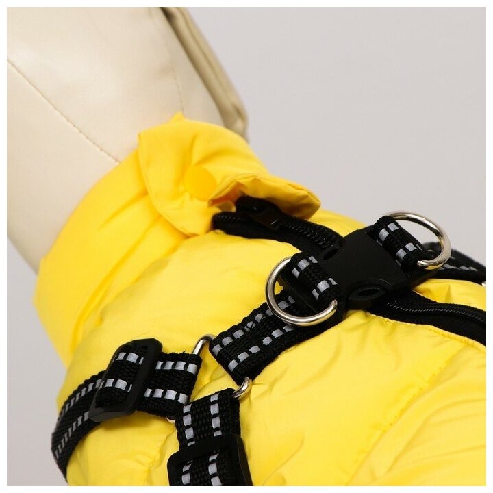Куртка для собаксо шлейкой, размер 14 (ДС 32 см, ОГ 42 см, ОШ 31 см), лимонная - фотография № 4