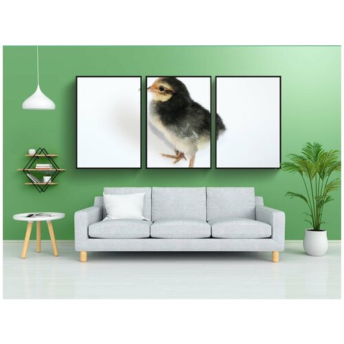 фото Набор модулных постеров для интерьера "цыпленок, курица, домашняя птица" 60x90 см. в тубусе, без рамки lotsprints