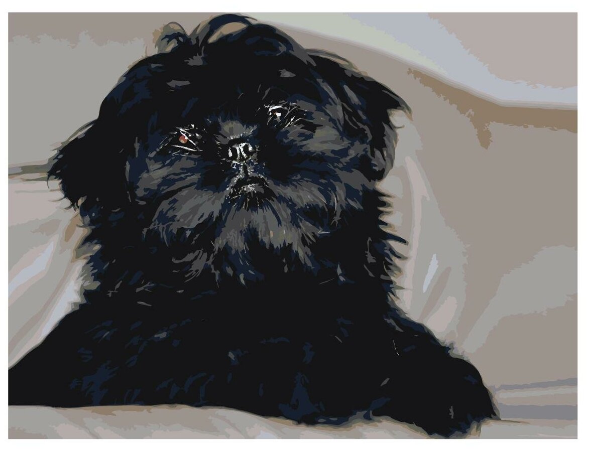 Картина по номерам, "Живопись по номерам", 36 x 48, ets544-3040, щенок, шерсть, чёрный, домашний, питомец, животное, собака
