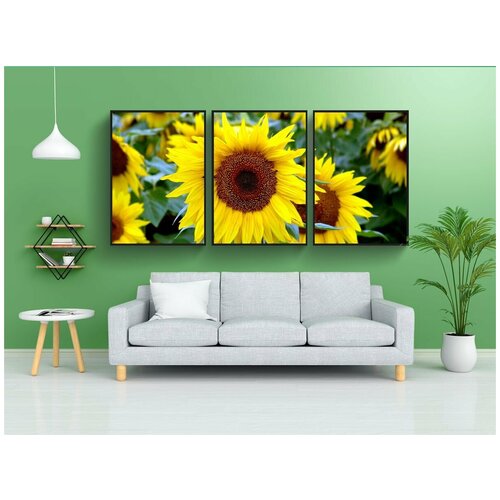 фото Набор модулных постеров для интерьера "цветок, растения подсолнечника, подсолнухи" 60x90 см. в тубусе, без рамки lotsprints