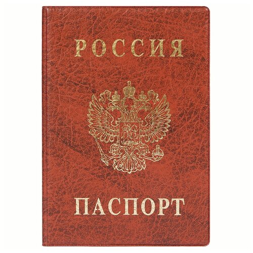 Обложка для паспорта ДПС, ПВХ, тиснение 