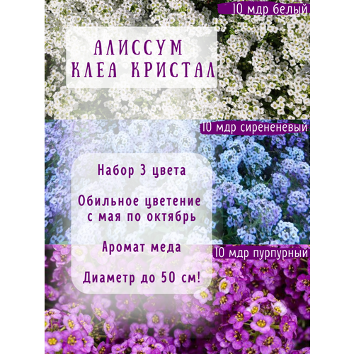 Алиссум Клеа Кристал семена в мультидраже 3 цвета по 10 мдр