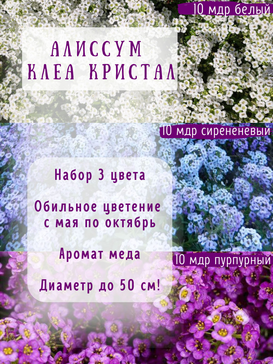 Алиссум Клеа Кристал семена в мультидраже 3 цвета по 10 мдр