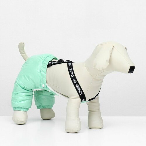 Комбинезон-штаны для собак, размер хS (ДС 26, от 28 см), мятный фартук жилет для собак непромокаемый размер хs