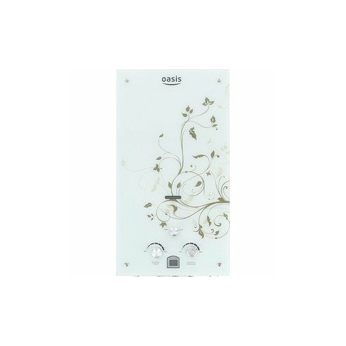 Газовая колонка Oasis Glass 20ZG 1448500₽