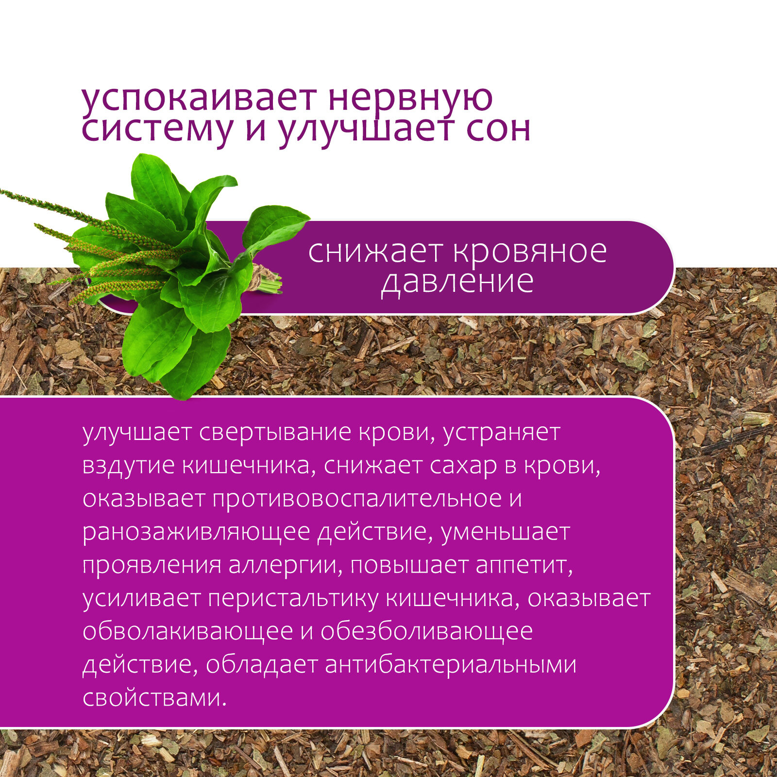 Подорожник лист, 80г — фото 1