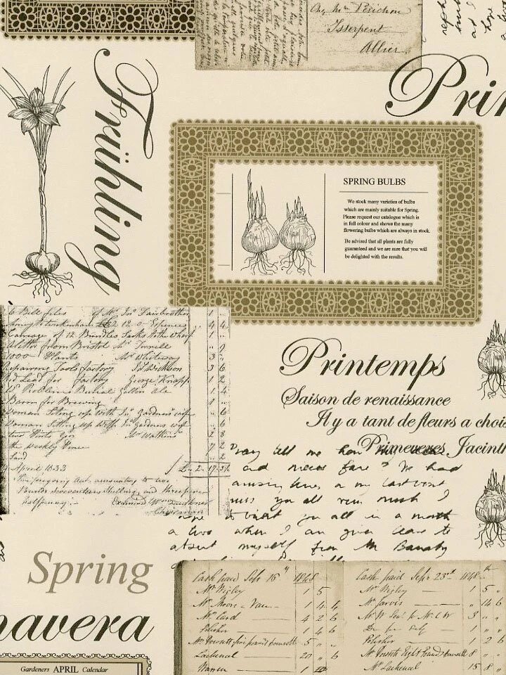 Обои Aura Kitchen Story III FK34419 A; 052х1005 м.