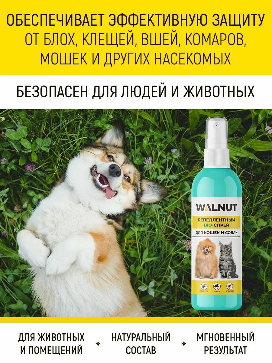 Спрей от блох и клещей для собак и кошек — фото 1
