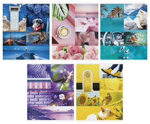 ArtSpace Упаковка тетрадей Стиль. Colourful collage Т48к_24338, 10 шт./5 дизайнов, клетка, 48 л., 10 шт., синий/розовый/голубой/фиолетовый/желтый