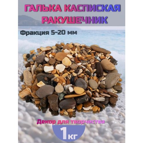 Галька декоративная морская для аквариума - ракушечник