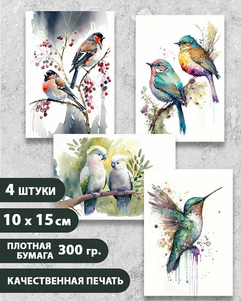 Набор открыток "Птицы 6", 10.5 см х 15 см, 4 шт, InspirationTime, на подарок и в коллекцию