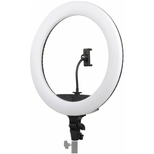 Осветитель кольцевой Falcon Eyes BeautyLight 450R LED 430000₽