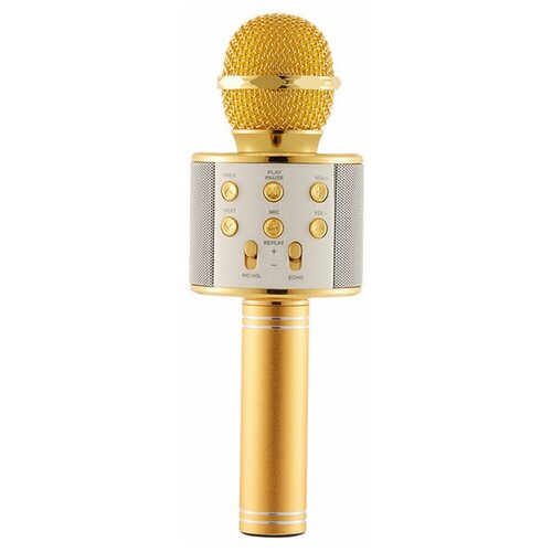 Микрофон-караоке WSTER WS-858 190300₽
