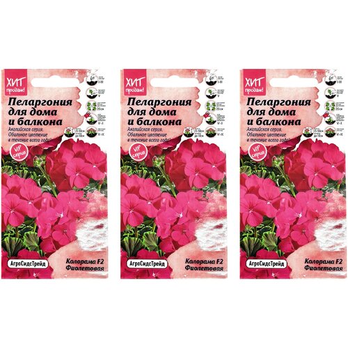 Пеларгония Колорама F2 Фиолетовая для дома и балкона 5 шт АСТ / семена цветов многолетних для сада в грунт / многолетников / многолетние цветы