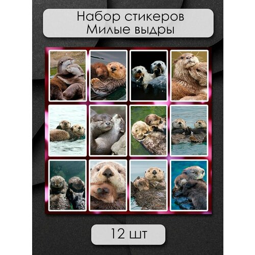 Стикеры наклейки на телефон - Милые речные выдры 3d стикеры на телефон парные наклейки милые выдры