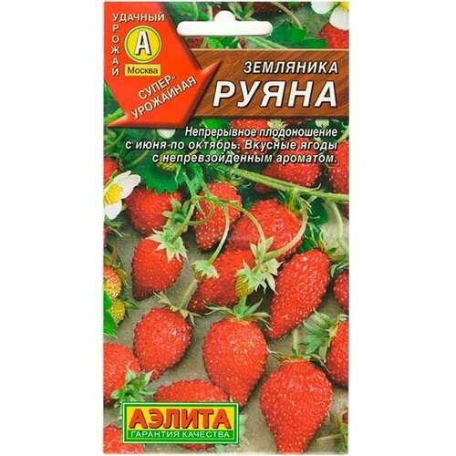 Семена Земляника руяна / Агрофирма Аэлита / в упаковке 0,04 гр клубники земляника альпийская регина f1 ремонтантная семена многолетник крупноплодный сорт ягоды красивой яркой окраски диаметром 3 см