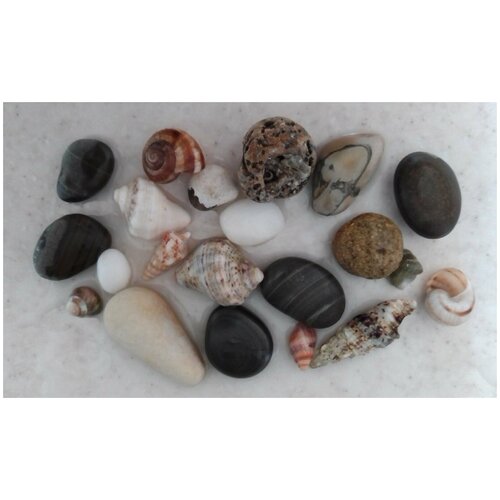 Эко грунт для аквариума / морская галька/ камень с узором / ракушка поделки из морских камешков и ракушек