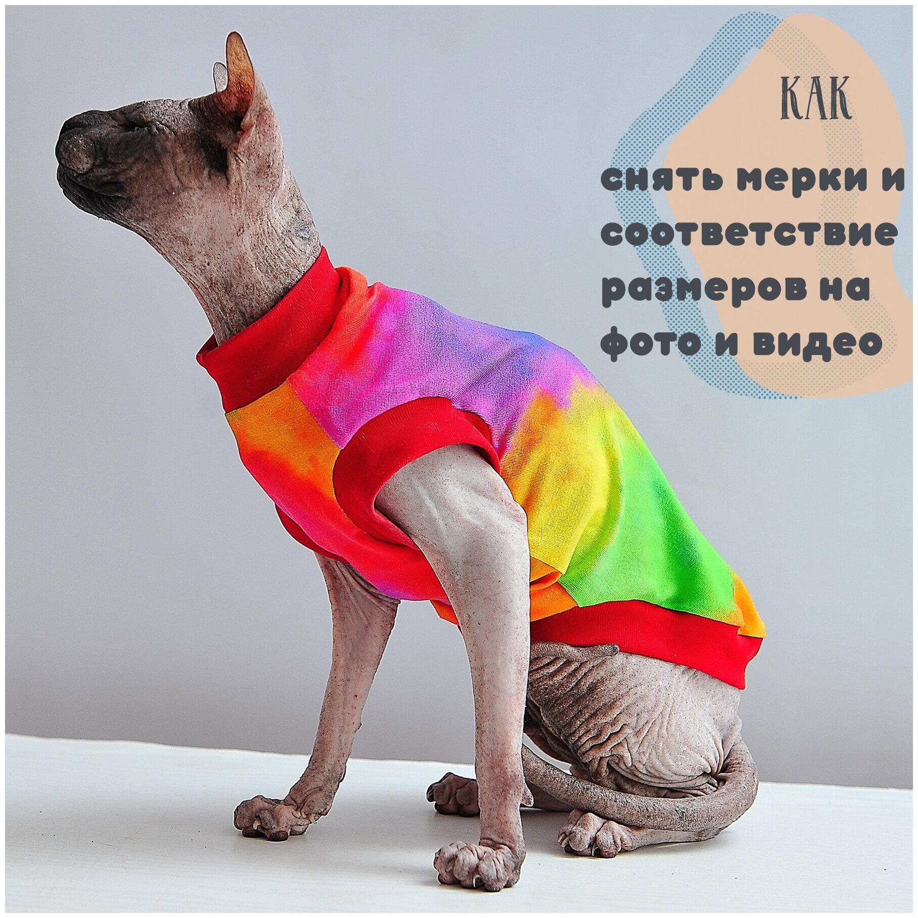 Одежда для кошек, котов и маленьких собачек - стильная майка с рисунком Домашняя радуга, подходит для сфинксов - фотография № 7