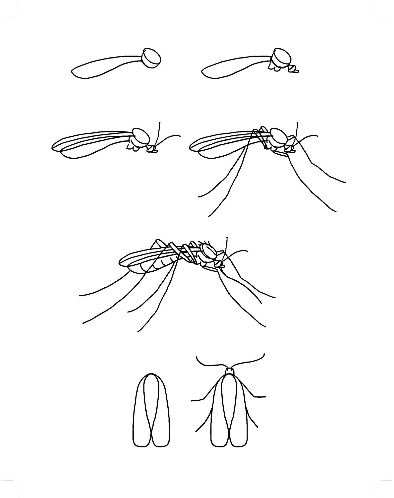 Рисуем насекомых по алгоритмическим схемам. 5-7 лет. - фото №6