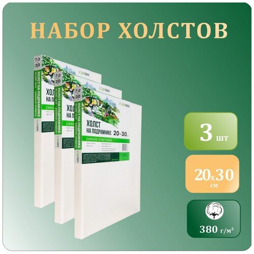 Грунтованные холсты для рисования на подрамнике 20х30 см, Хоббитания, 100% хлопок, мелкое зерно, 380 гр/м2, набор холстов из 3 штук