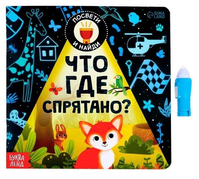 Книга с фонариком "Что где спрятано?", 24 стр.