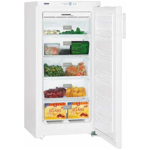 Морозильная камера Liebherr GNP 1913 3999000₽