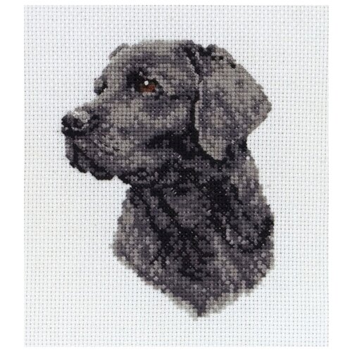 фото Набор для вышивания anchor black labrador 11*8см, mez, pce218