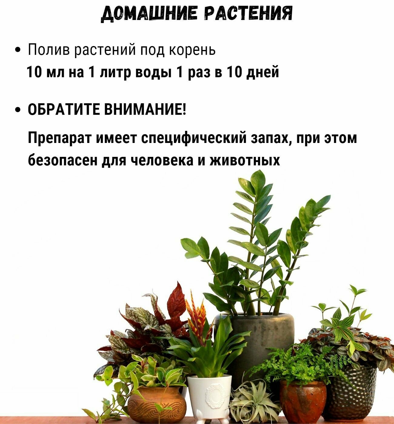 Биофунгицид Бска-3 (триходерма + сенная палочка) - для сада и огорода, комнатных растений и цветов. 3 шт по 100 мл - фотография № 6
