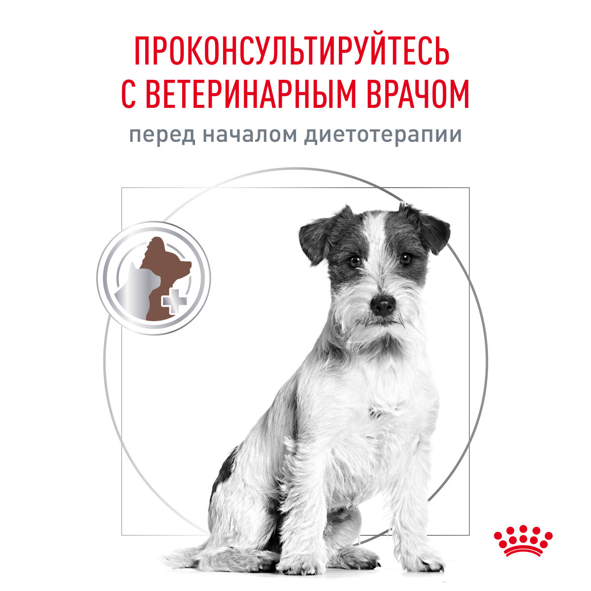 Royal Canin Gastrointestinal Low Fat Small Dog сухой корм для взрослых собак мелких пород при нарушениях пищеварения (3 кг) - фото №8