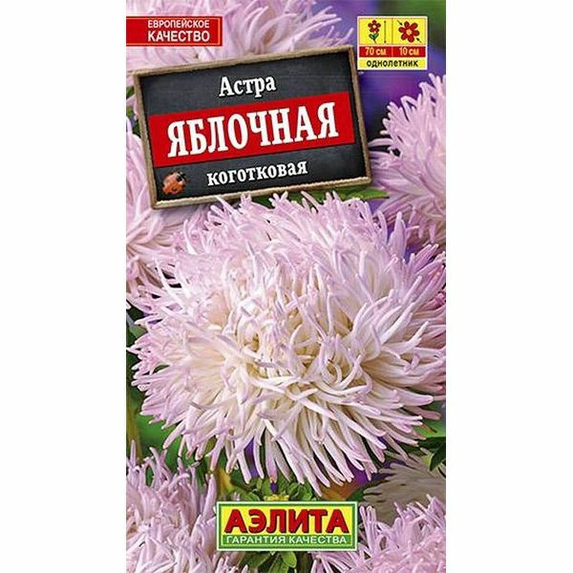Семена Астра Яблочная однолетник Аэлита 1 пачка - 0.2г семян