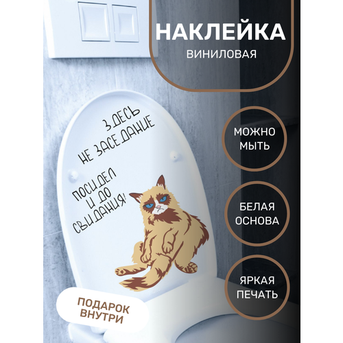 Наклейки интерьерные для дома и дачи с приколом на унитаз/дверь принт кот