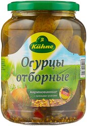 Огурцы отборные Kuhne, 670 г