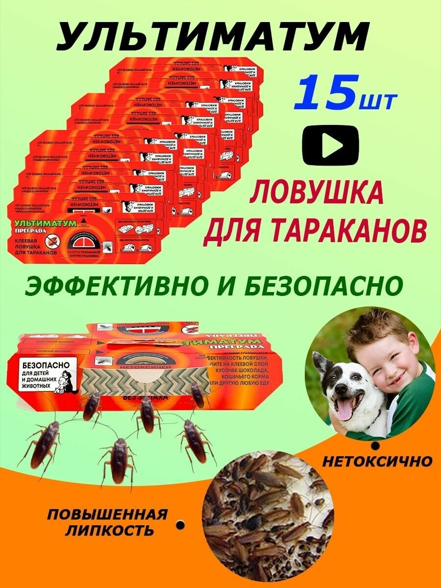 Ультиматум тараканы